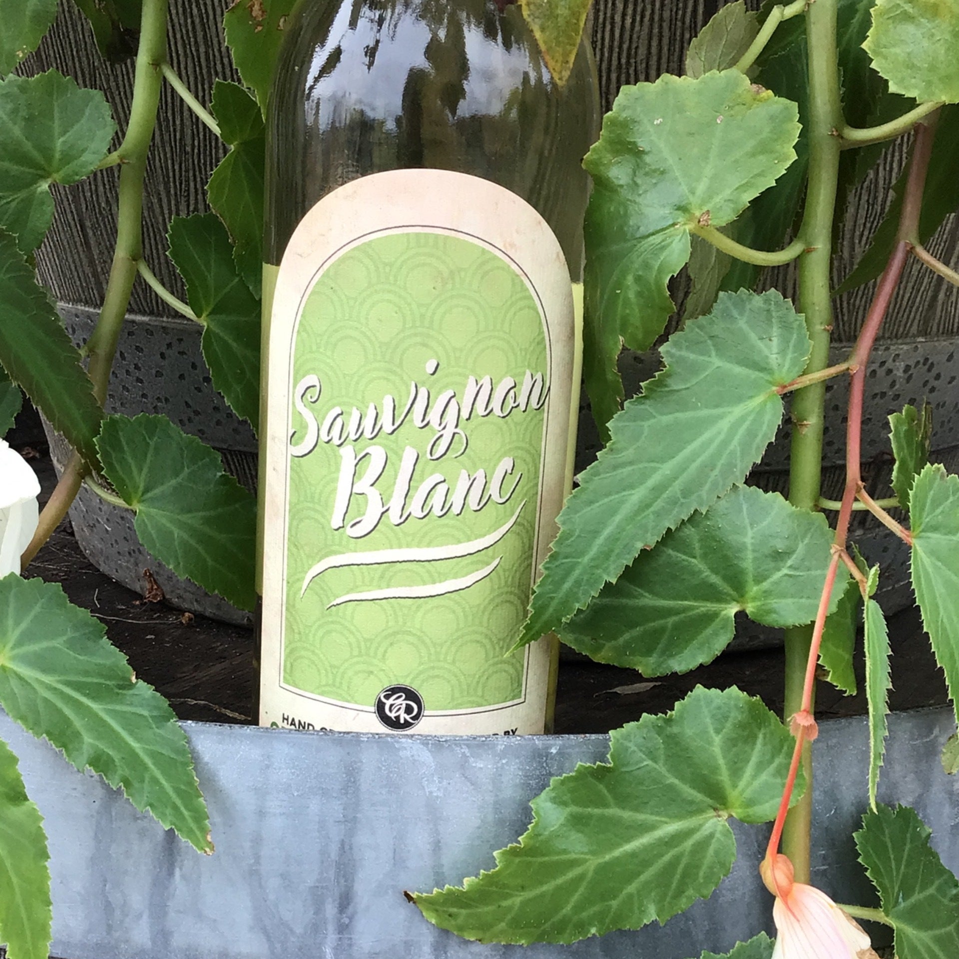 Sauvignon Blanc Cream Ridge Winery