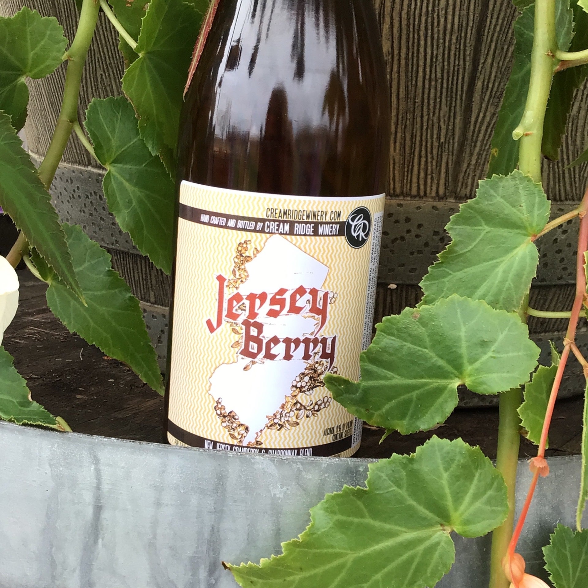 Jersey Berry Cream Ridge Winery